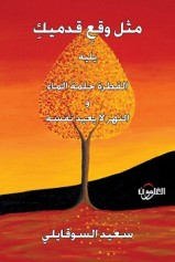 "مثل وقع قدميك" للشاعر المغربي سعيد السوقايلي