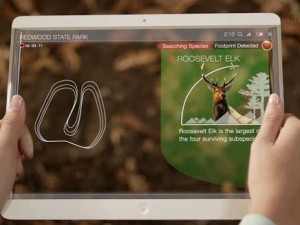 سامسونغ وكورنينغ يدشنان مشروعاً لإنتاج شاشات مرنة