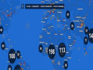 جوجل تُدشن موقعاً لإنقاذ اللغات المهددة بالاندثار