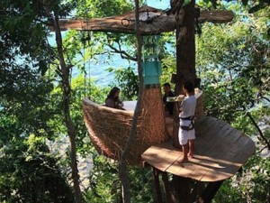 مطعم تايلندي على شكل "عش عصفور" بين الأشجار