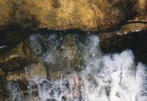 السديس: لا صحة لجفاف بئر زمزم