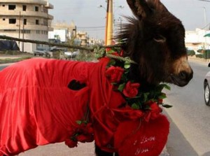 60 ألف أردنية متزوجة من غير أردنيين