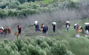 طائرة روسية لمساعدة اللاجئين السوريين في الأردن