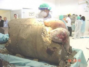 للكبار فقط ..صور مؤلمة جدا.. قتل أبوه ووضعه فى برميل وصب عليه الأسمنت