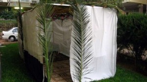 يجلسو في أكواخ مصنوعة بسعف النخيل بانتظار الغفران .. ما هو عيد السوكوت "المظلّة" .. ولماذا يحتفل اليهود به ؟ .. صور