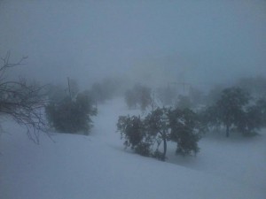 ناسا تطلق تحذيراً الأول من نوعه.. عاصفتان ثلجيتان ستضربان «بلاد الشام» «الثانية» أقوى من «الأولى»
