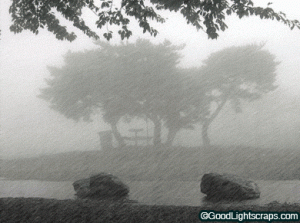 الشاكر..حالة قوية من عدم الإستقرار الجوي الأحد...فيديو