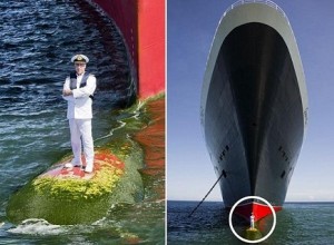 شاهد: أجرأ صورة شخصية صاحبها قبطان لأكبر سفينة سياحية بالعالم