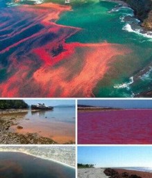 بالفيديو.. 10 ظواهر غريبة حيّرت العلماء