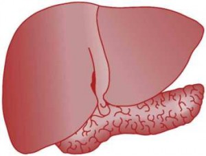 بعد "كورونا" .... اصابتين بالكبد الوبائي في مادبا