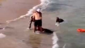 بالفيديو ...موقف مؤثر جدا....ابن ينقذ والده من الغرق فيغرق الابن