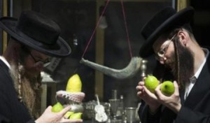 هل يزرع الأردن خضراوات وحبوبا للمتدينين اليهود؟