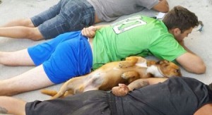 شاهد ماذا فعل الكلب عندما تم القبض على اصحابه !!!