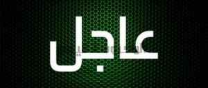 فتح باب الهجرة: إعلان تأسيس دولة جديدة بأوروبا ورئيسها يعلن حاجته لمواطنين.. الشروط وطريقة التقديم!