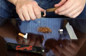 هذه هي الدولة العربية الوحيدة ضمن أكبر 30 دولة في العالم تنتج ‘الحشيش‘