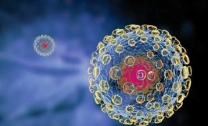 الصحة: معدلات الإصابة بإنفلونزا الخنازير طبيعية ومشابهة للعام الماضي