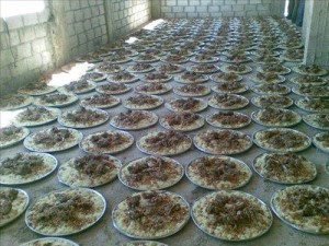 منسف اهل الميت و آل الروابدة