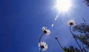 أجواء حارة السبت وانخفاض ملموس الأحد