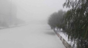 بالصور .. الثلوج تغطي أجزاءً واسعة من لواء البترا والشوبك