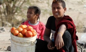 بالفيديو..غور فيفا: الفقر ‘‘يجثم‘‘ على أنفاس أهلها