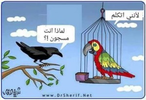 اهل القمة و اهل القاع !