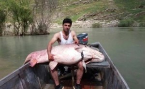 اصطاد سمكة تزن 175 كغ... فاعتُقل في العراق!