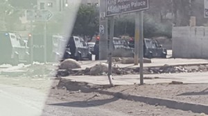 الاجهزة الامنية تغلق مدرستين وتتحفظ على محتوياتها في معان