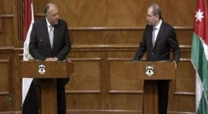 شكري يُطلع الصفدي على مستجدات المصالحة الفلسطينية