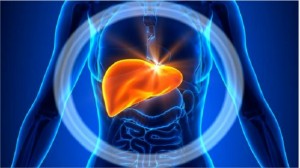 "القاتل الصامت" يعيش معنا ولا ندركه تعرف عليه