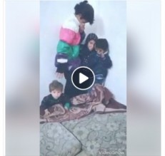 بالفيديو ...الاجهزة الامنية تتوصل الى الشاب الذي هدد حياة اخوته باسطوانة الغاز في الرمثا