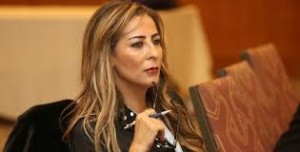 غنيمات: لا فتح للحدود...واستمرار تدفق المعونات للداخل السوري