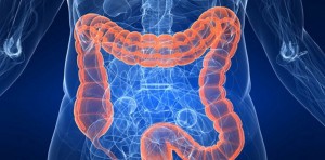 تعرف على السرطان الاكثر انتشارا بين الرجال في الاردن .. "تفاصيل"