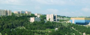 مجلس جامعة عمان الاهلية بالتعاون مع بلدية السلط يوصي بعقد دورة "ترميم" بإدارة متخصصين