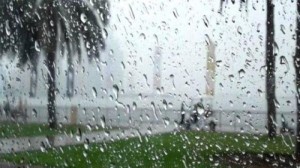 طقس العرب: أمطار رعدية غزيرة في الساعة القادمة بالأغوار الجنوبية وصولا لغور فيفا