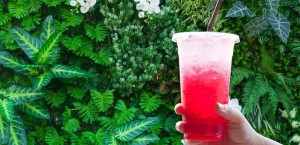 عصير أحمر يحمي القلب ويمنع السرطان ويكبح الجوع .. اشربوه!