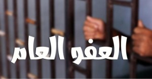 الطراونة: عفو الحكومة استثنى الجرائم الإلكترونية دون مبرر