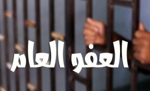 مصدر مختص : المبالغ المشمولة بالعفو الغرامات (كعقوبة جزائية) وليست أصولها