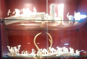 بالصور ... ضبط صقور وأسود وذئاب وقطع من العاج في المملكة