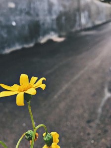 السبت .. ارتفاع تدريجي وملموس على درجات الحرارة