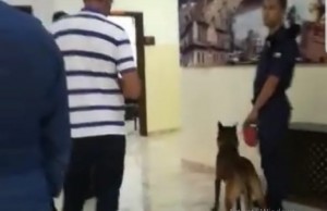 الأمن يوضح حول استخدام الكلاب البوليسية داخل مبنى بلدية اربد خلال زيارة الرزاز