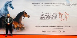 تواجد مميز لـ "مربط الخطيب" في بطولة العالم لجمال الخيول العربية بباريس