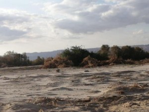 الحكومة: الإجراءات في "فيفا" لأسباب أمنية