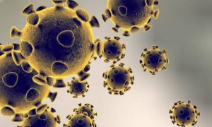 الصحة العالمية تعلن حالة طوارئ دولية بسبب كورونا