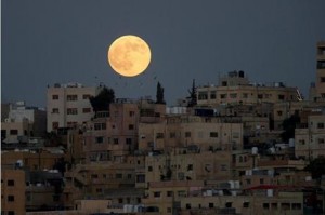 لا صحة لتسجيل إصابة بفيروس كورونا في الرصيفة