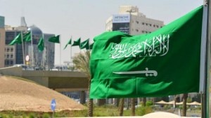 هام للراغبين بتمديد إقامة المركبات السعودية