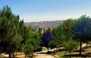 السماح بفتح الحدائق العامة والمتنزهات