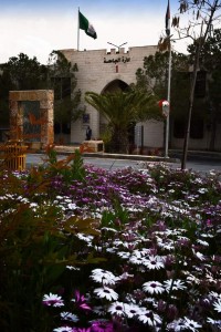 جامعة البترا الأولى على الجامعات الخاصة في تصنيف "جرين ماتركس