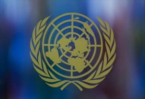 الأمم المتحدة: التعليم هو الأساس