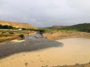 الجمعية العلمية الملكية: لا تلوث لمياه سد الوالة