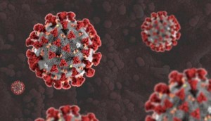 دراسة: كورونا يتحوّر بشكل أسرع من ذي قبل